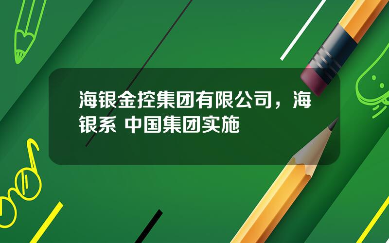 海银金控集团有限公司，海银系 中国集团实施